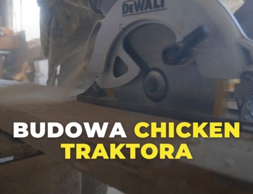 Budowa Chicken Traktor z gniazdami dla kur